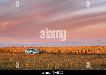 Gomel, Bélarus - 14 septembre 2016 : Polo Volkswagen Vento berlines voiture Parking près de route de campagne en automne. Coucher du soleil lever du soleil sur un fond de ciel Banque D'Images