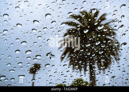 Gouttes de pluie sur la fenêtre sur un jour de pluie ; palmier visible à l'arrière-plan ; Californie Banque D'Images