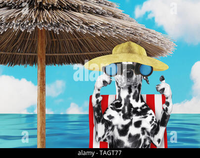 Chien Dalmatien de soleil sur une chaise de plage et regarder à travers les jumelles. 3D render Banque D'Images