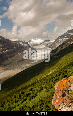 Parker Ridge , glacier Athabasca , Canada Banque D'Images