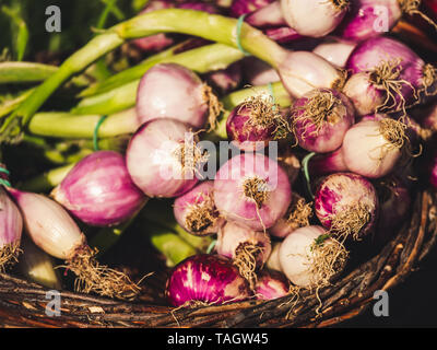 Plan rapproché sur les oignons frais bio légumes à un marché Banque D'Images