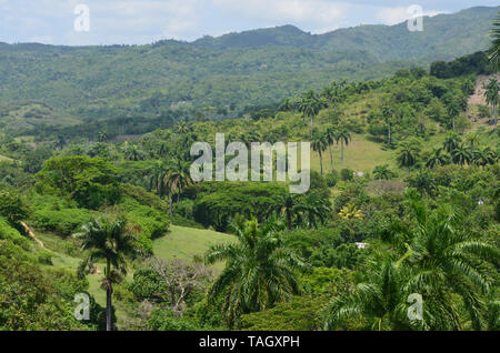 Champs et des pentes boisées de Guisa municipalité (province de Granma, Cuba), dans les environs de Pico de la Bayamesa national park, au sud de Cuba Banque D'Images