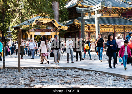 Nikko, Japon - 5 Avril, 2019 : temple Toshogu shrine pagoda et gate dans la préfecture de Tochigi au printemps avec de nombreux touristes gens Banque D'Images