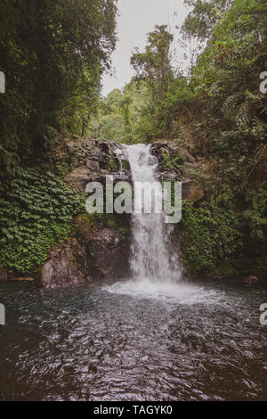 Cascade de GitGit, Bali. La cascade est une destination touristique populaire dans la région de Bali, connu pour son feuillage attrayant et piscine naturelle Banque D'Images