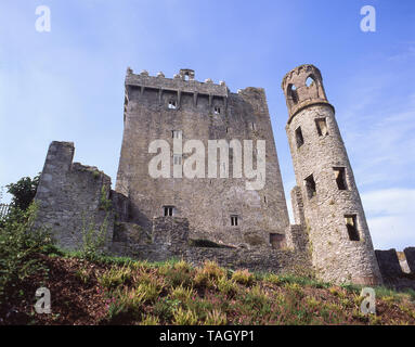 Donjon et tour du château, le château de Blarney, Blarney, comté de Cork, République d'Irlande Banque D'Images