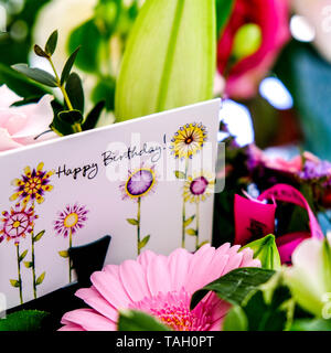 Collection de beaux parterres de fleurs en fleurs Banque D'Images