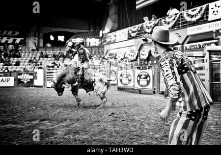 Rodeo clown, prêt à distraire le taureau, événement sportif extrême, cow-boy en action comme il s'efforce de monter le gros taureau, fort Worth, les parcs à bestiaux, Texas, USA, Banque D'Images