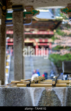 Fontaine de purification Rinno-ji Taiyuinbyo Nitemmon gate à Nikko Banque D'Images