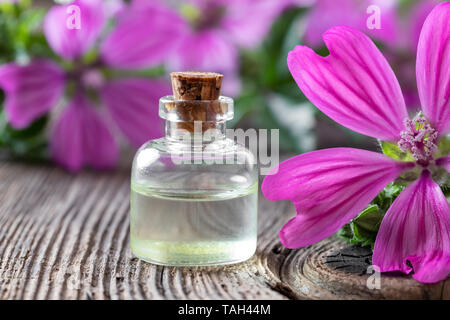 Une bouteille d'huile essentielle avec la mauve Malva sylvestris fleurs fraîches Banque D'Images