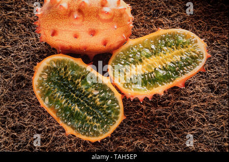 Melon à cornes de l'Afrique, 'Kiwano' Cucumis melo, revêtement extérieur et intérieur flash verdâtre. Banque D'Images