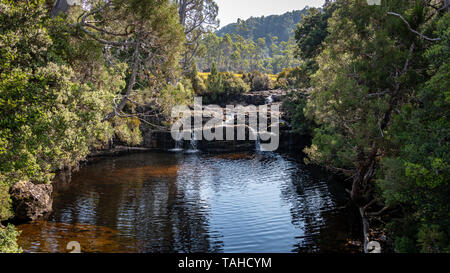 Pencil Pine Creek, Cradle Mountain National Park Banque D'Images