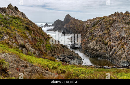 Bord du monde, Port Arthur en Tasmanie Banque D'Images