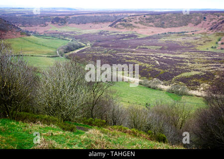 Le trou de Horcum de Saltergate Bank en hiver, North York Moors National Park, Yorkshire, Angleterre, Royaume-Uni. Banque D'Images