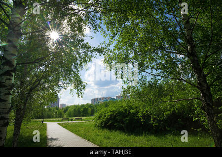 Mitino parc paysager. Belle journée chaude en Mai ( Mitino - banlieue de Moscou ) Banque D'Images