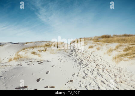 Chemin qui Mène à la mer à travers les dunes avec des roseaux et des traces de pas dans le sable sous un ciel bleu ensoleillé. Paysage côtier idyllique en Amrum dans th Banque D'Images