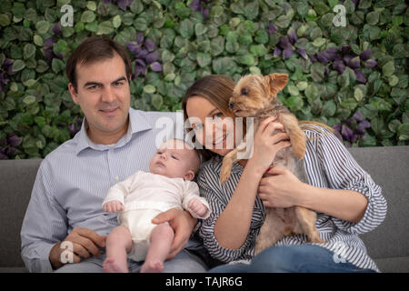 Famille composée de parents, un bébé et un chien yorkshire s'asseoir dans un studio de photographie avec un fond de feuilles vertes. Banque D'Images