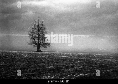 Image en noir et blanc granuleux de la bataille de Gettysburg après une tempête de décembre en 2000. Banque D'Images