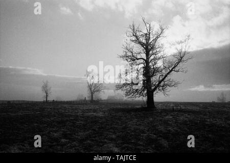 Image en noir et blanc granuleux de la bataille de Gettysburg après une tempête de décembre en 2000. Banque D'Images