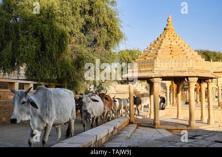 Gadi Sagar, Gadsisar Lake est l'une des plus importantes attractions touristiques dans la région de Jaisalmer, Rajasthan, Inde du Nord. Temples sculptés artistiquement et shrin Banque D'Images