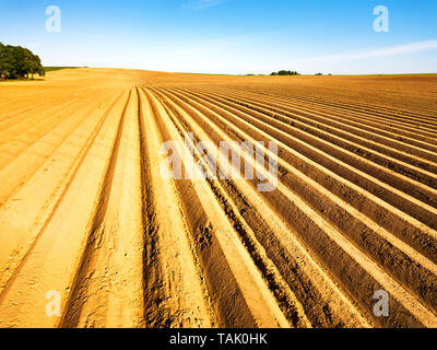 Modèle de ligne des sillons dans un champ labouré préparé pour la plantation de cultures au printemps. Vue horizontale en perspective. Paysage agricole, domaine des cultures arables Banque D'Images