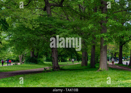 Une vue sur le chemin et les gens qui marchent dans le parc au printemps Banque D'Images