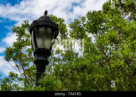 Parc noir permanent de la lampe dans les buissons dans la perspective Park Banque D'Images