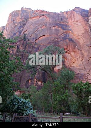 L'Utah, USA--Juillet 2018 : Cropped shot d'un immense mur de roche rouge au-dessus de la rivière vierge où les gens sont la randonnée à Zion National Park, Utah. Banque D'Images