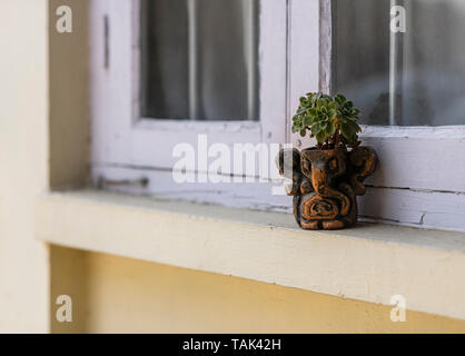 Echeveria, un succulent, grandissant dans un pot de jardin/jardinière posé sur un rebord de fenêtre/appui de fenêtre. La piscine en forme de pot est sous la forme du Seigneur Ganesha. Banque D'Images