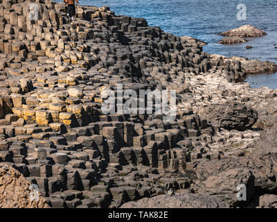 Les formations rocheuses typiques de la Chaussée des Géants en Irlande du Nord - la photographie de voyage Banque D'Images