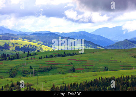 Le magnifique et majestueux paysage de montagne des collines des Carpates, rayures brunes des terres cultivées, les pentes des montagnes d'herbe verte, grands pi Banque D'Images