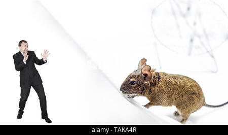 Terrifié man énorme rat. Résumé photo. Banque D'Images