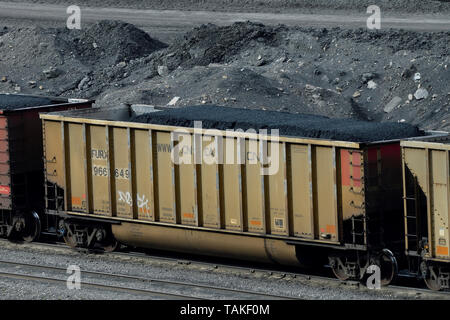 Une voiture de chemin de fer Canadien National chargés de charbon minerai d'une mine de charbon dans les contreforts des montagnes Rocheuses de l'Alberta, Canada. Banque D'Images