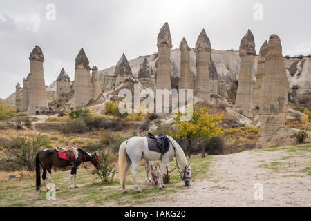 Avec les chevaux célèbres formations rocheuses à l'arrière-plan dans la vallée de l'amour, la Cappadoce. Banque D'Images