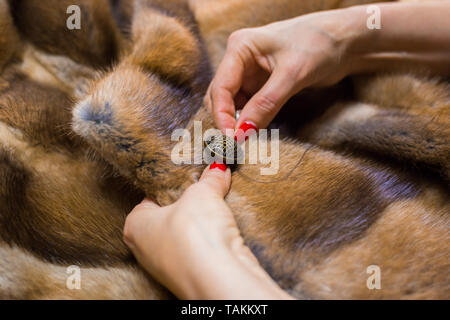 Gros plan - mains de sur mesure, designer professionnel bouton à coudre de manteau de fourrure à l'atelier, studio. La mode et la couture concept Banque D'Images
