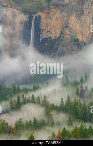 Bridalveil Falls, et le brouillard, Yosemite National Park, California, USA, par Bill Lea/Dembinsky Assoc Photo Banque D'Images