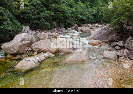 Rivière de montagne, le Mont Kumgang, région touristique, région administrative spéciale de la Corée du Nord Banque D'Images