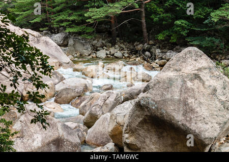 Rivière de montagne, le Mont Kumgang, région touristique, région administrative spéciale de la Corée du Nord Banque D'Images