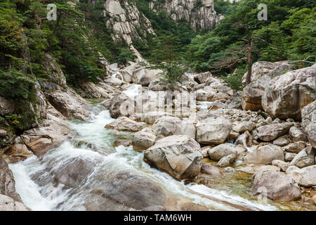 Rivière et forêt de montagne, le Mont Kumgang, région touristique, région administrative spéciale de la Corée du Nord Banque D'Images