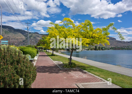 Pioneer Walkway le long du lac Osoyoos à Osoyoos, Colombie-Britannique, Canada Banque D'Images