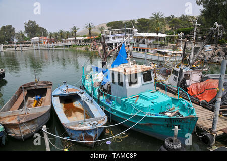 Israël, Kibbutz Ein Gev (créé en 1937) sur les rives de la mer de Galilée. Bateaux de pêche dans le port Banque D'Images