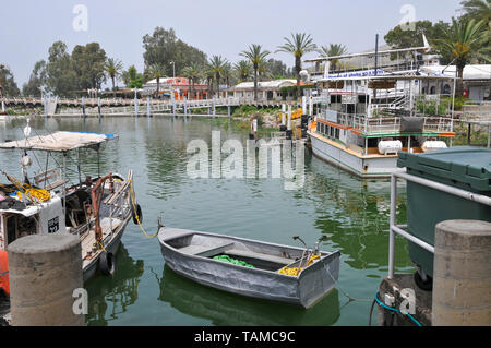 Israël, Kibbutz Ein Gev (créé en 1937) sur les rives de la mer de Galilée. Bateaux de pêche dans le port Banque D'Images