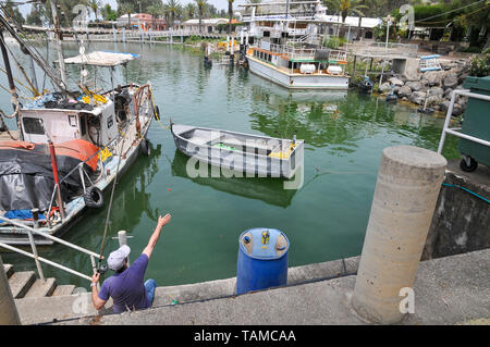 Israël, Kibbutz Ein Gev (créé en 1937) sur les rives de la mer de Galilée. Bateaux de pêche dans le port Banque D'Images