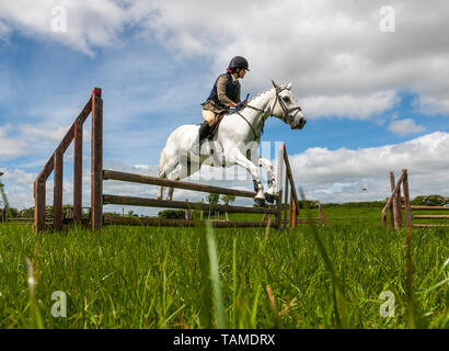 Midleton, Cork, Irlande. 26 mai, 2019 Sarah.Rohan sur son poney Connemara Jalon de la chance en prenant un saut pendant son tour à la foire agricole à Coppingerstown Midleton Co. Cork, Irlande. Crédit : David Creedon/Alamy Live News Banque D'Images