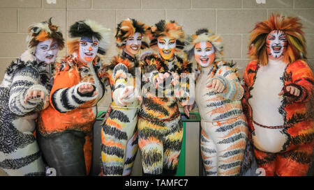 Londres, Royaume-Uni. 26 mai, 2019. Un groupe de poser dans leur caractère pittoresque tenues issues de la comédie musicale "Cats". Du Comicon MCM troisième et dernière journée une fois de plus, voit des milliers de cosplayeurs et fans de comics, de jeux et de fantaisie et sci fi tourner jusqu'en costumes et tenues à ExCel London pour célébrer leurs personnages préférés. Credit : Imageplotter/Alamy Live News Banque D'Images