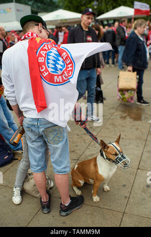 Berlin, Allemagne. 25 mai, 2019. Football, finale de la Coupe DFB RB Leipzig - FC Bayern Munich. Un fan du Bayern Munich est sur le point de jouer avec son chien sur l'Alexanderplatz. Credit : Gregor Fischer/dpa/Alamy Live News Banque D'Images