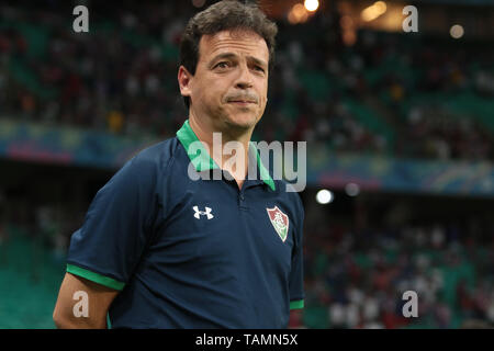 Salvador, Brésil. 26 mai, 2019. Fernando Diniz, entraîneur de Fluminense, pendant un match entre Bahia et Fluminense, un match validé par la 6ème manche de la série brésilienne d'un championnat, ce dimanche (26), à l'Arena Fonte Nova à Salvador, Bahia. Credit : Tiago Caldas/FotoArena/Alamy Live News Banque D'Images