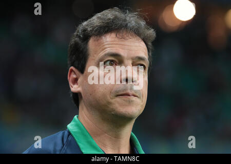 Salvador, Brésil. 26 mai, 2019. Fernando Diniz, entraîneur de Fluminense, pendant un match entre Bahia et Fluminense, un match validé par la 6ème manche de la série brésilienne d'un championnat, ce dimanche (26), à l'Arena Fonte Nova à Salvador, Bahia. Credit : Tiago Caldas/FotoArena/Alamy Live News Banque D'Images