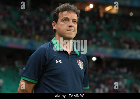 Salvador, Brésil. 26 mai, 2019. Fernando Diniz, entraîneur de Fluminense, pendant un match entre Bahia et Fluminense, un match validé par la 6ème manche de la série brésilienne d'un championnat, ce dimanche (26), à l'Arena Fonte Nova à Salvador, Bahia. Credit : Tiago Caldas/FotoArena/Alamy Live News Banque D'Images