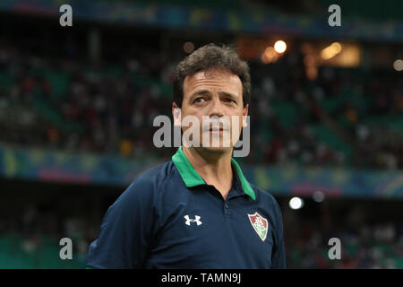 Salvador, Brésil. 26 mai, 2019. Fernando Diniz, entraîneur de Fluminense, pendant un match entre Bahia et Fluminense, un match validé par la 6ème manche de la série brésilienne d'un championnat, ce dimanche (26), à l'Arena Fonte Nova à Salvador, Bahia. Credit : Tiago Caldas/FotoArena/Alamy Live News Banque D'Images