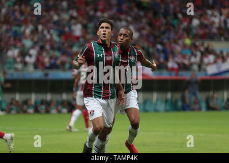 Salvador, Brésil. 26 mai, 2019. Pedro, joueur de Fluminense, célébration de but pendant le jeu entre Bahia et Fluminense, un match validé par la 6ème manche de la série brésilienne d'un championnat, ce dimanche (26), à l'Arena Fonte Nova à Salvador, Bahia. Credit : Tiago Caldas/FotoArena/Alamy Live News Banque D'Images